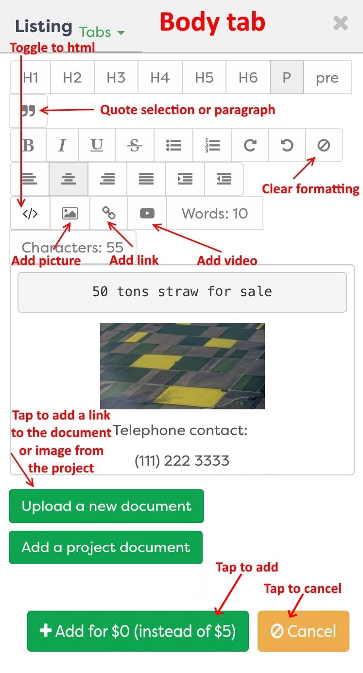 Figure 7: "Body" tab
